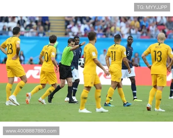 法国世界杯之路：荣耀与挑战并行的胜利征程